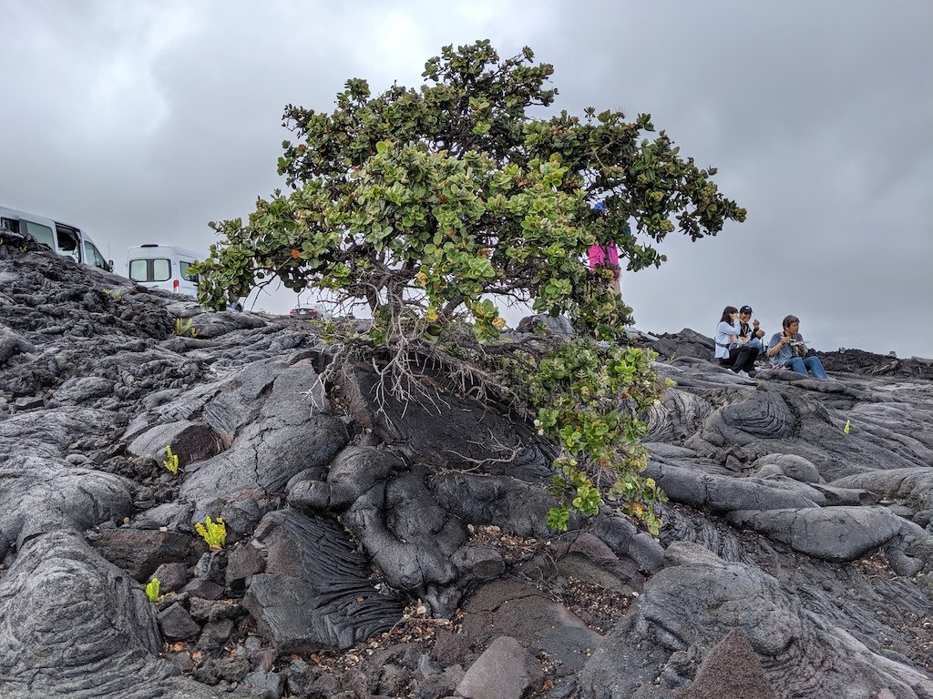 實戰攻略] 如何用兩天玩遍夏威夷大島？行程規劃重點（景點／美食）大公開| TripPlus