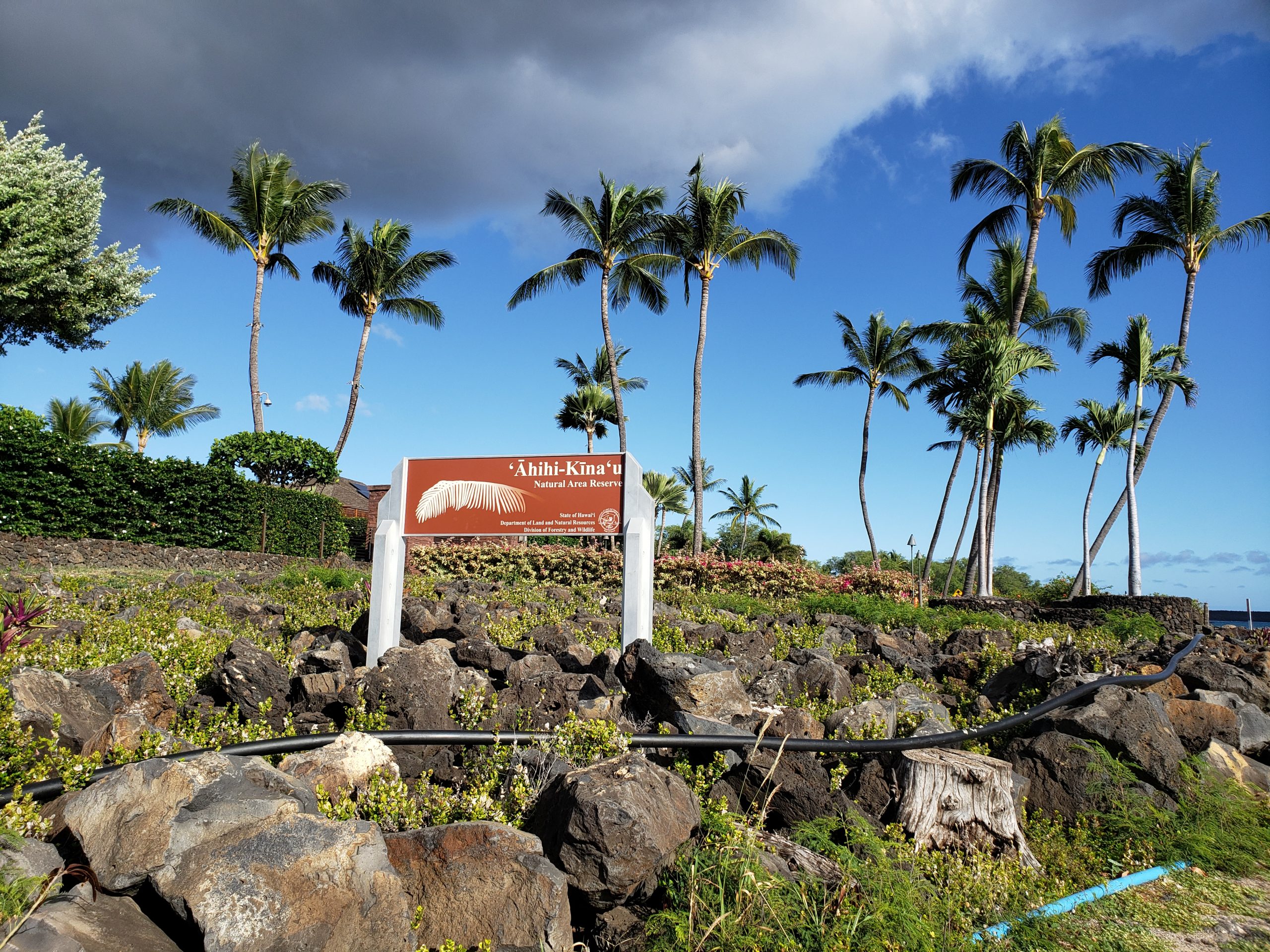 Randy旅遊紀錄] 夏威夷茂伊島(Maui) 六天五夜之行程分享| TripPlus