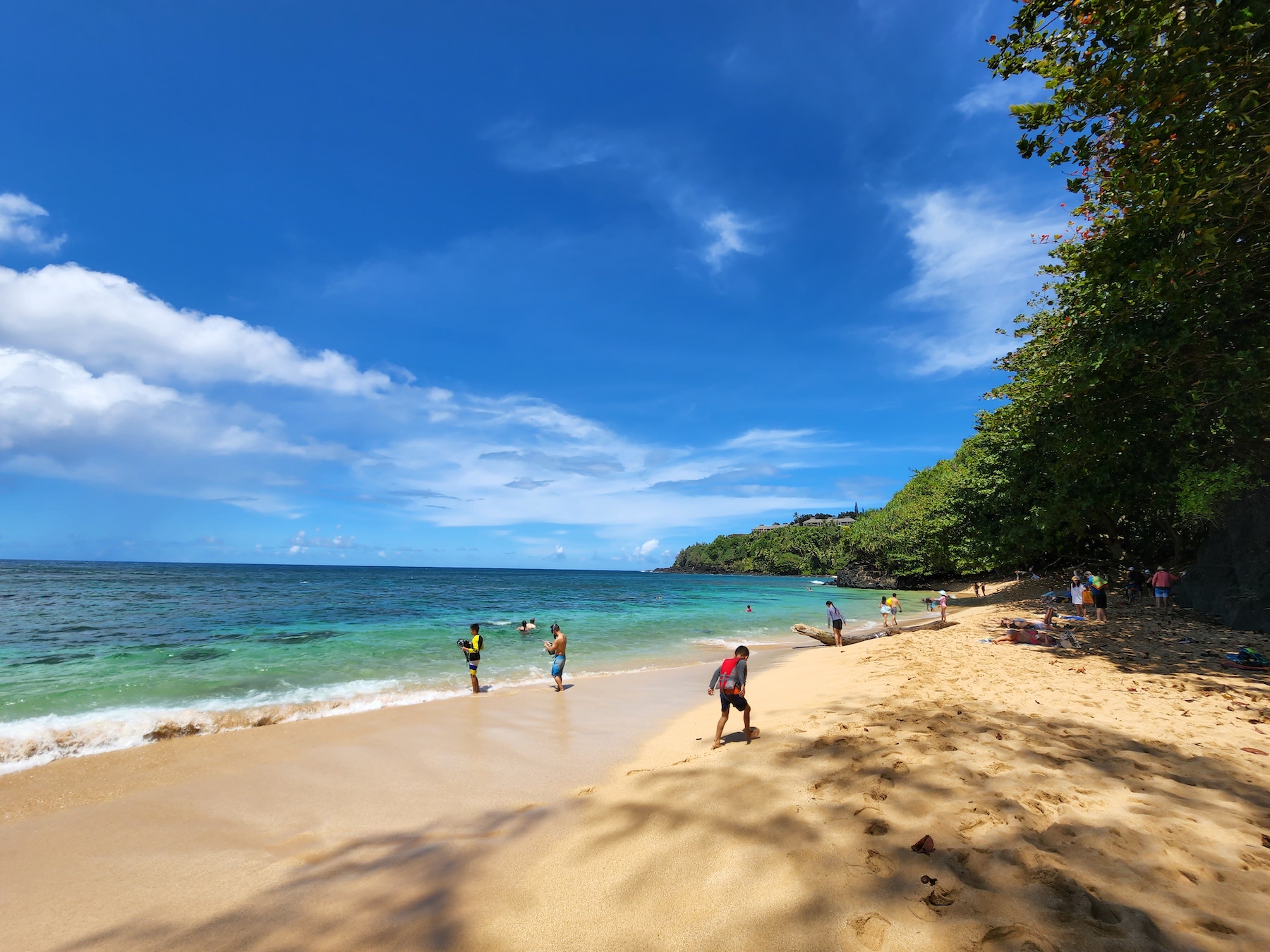 Randy體驗記錄] 夏威夷可愛島(Kauai) 知名景點介紹與餐飲體驗分享| TripPlus